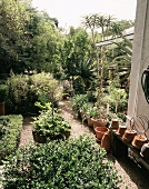 Blick in mediterran gestalteten Garten