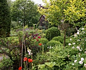 A garden
