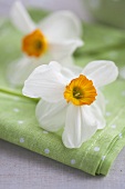 A napkin with daffodils