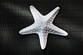 White starfish on black bamboo mat (overhead view)