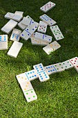 Dominoes in grass