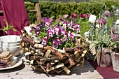 Horned violets in a rustic basket (table decoration)