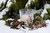 Windlight, bird food, rose hips and conifers in snow