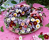 Wreath of bellis, forget-me-nots and pittosporum