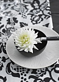 White chrysanthemum flower in black bowl