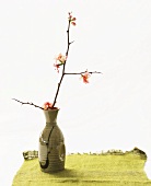 Flowering branch in vase
