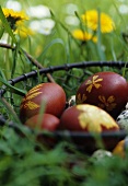 Easter eggs in a wire basket on the grass