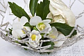 Christmas roses in a star basket