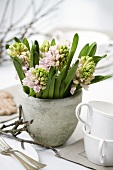 Vase of hyacinths