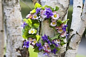 Wreath of violets, violet leaves and daisies