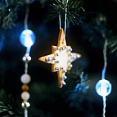 Star-shaped biscuit with silver dragées hanging on tree