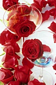 Red roses and two aperitif glasses