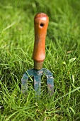 Garden tool in grass