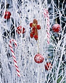 Branches with Christmas decorations in garden