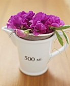 Sieve with purple flowers in measuring jug