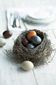 Gefärbte Eier im Osternest