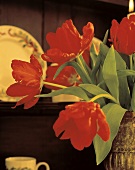 Rote Tulpen in einer Vase