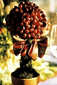 Topiary of Red Berries