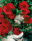 A Cherub Statue Surrounded by Red Roses