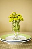 Green Flowers in a Vase on a Plate