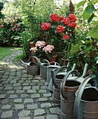 Watering cans on a garden path