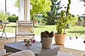 Gefüllter Eimer mit Pinienzapfen auf dem Terrassentisch mit Blick auf den Garten
