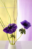 Purple flowers and flower sprig in a vase