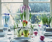 Frühlingsblumen auf einem gedeckten Esstisch arrangiert