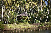 A hut hidden in the jungle near a river