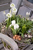Decorative spring flowers with quail's eggs