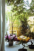 A bonsai tree and a vase of flowers on the floor of a terrace in front of a bamboo fence