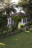Villa with arched windows in a tropical garden with palms