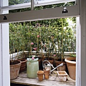 An open window looking onto a mini garden
