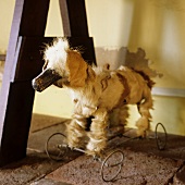 Antikes Spielzeug - Stoffhund auf Drahtgestell