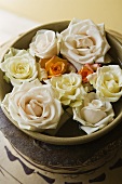 Various coloured roses in an earthenware pot