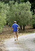 A man in an olive grove holding a baguette under his arm