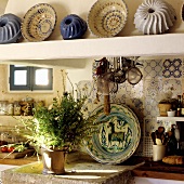 A pot of herbs on a stone shelf and antique cake tins on the mantelpiece