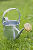 Watering can on the grass