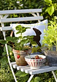 Erdbeerpflanze auf weißem Gartenstuhl