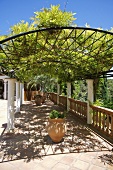 Patio area with potted plants covered by pergola