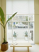 View through window from room with plant and wooden table to street outside.