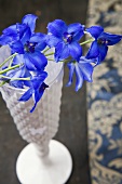 Delphiniums lying on top of a white vase