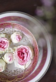 White roses in a bowl