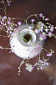 Blossoming sprigs in a vase