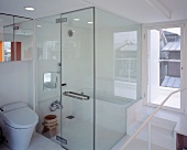 A bathroom with a toilet and a glazed shower cubicle