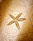 Mosaikfliesenboden mit Sternintarsie