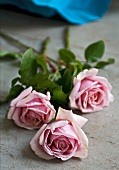 Three roses on a wooden surface