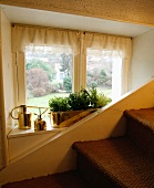 Mit Sisal belegte Treppenstufen an weisser Holzwange vor kleinem Fenster mit Übertopf und Giesskannen in Messing