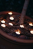 Brennende Teelichter zwischen Tannenzapfen in Terrakotta-Topf