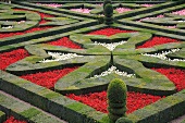 Geometrisch angelegter Garten mit weiss- und rotblühenden Blumen zwischen geschnittenen Hecken in Blütenform